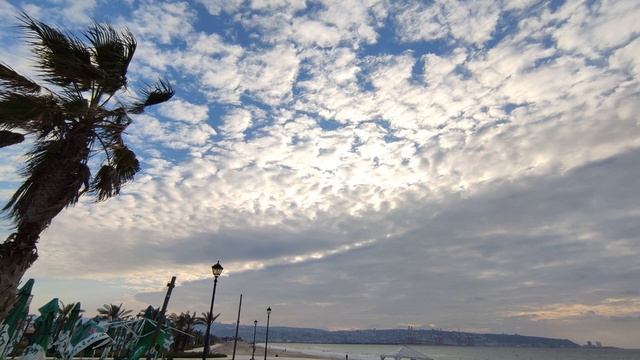 Ночной урок 27 тевета 5783 — 20 января 2023 Урок Зоар с равом Цви Нисназон смотреть онлайн