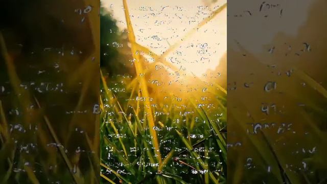 Фанфик про Чпунька❤ и т/и☀ "Солнце моё" 15 часть смотреть онлайн