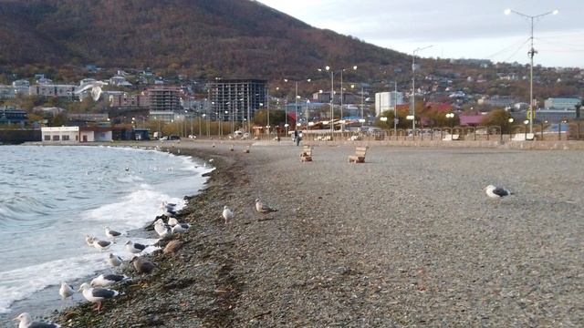 Короткое замедленное видео. Пляж в Петропавловске-Камчатском смотреть онлайн