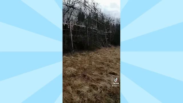 Удивительное, невероятное и все же оно есть😎 смотреть онлайн
