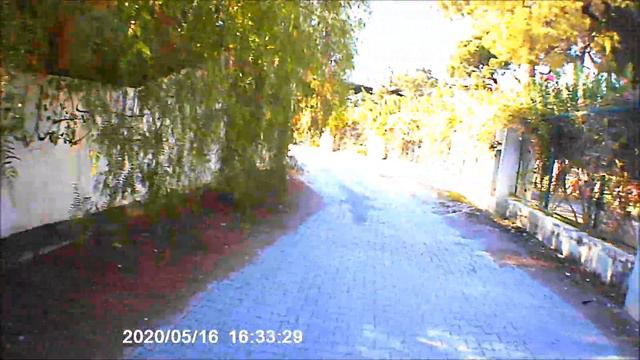 10.10.2020 г. Отель Отиум Лариса акман парк. Нашёл дерево лавр благородный по дороге от пляжа. смотреть онлайн