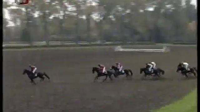 Velká Pardubická 1998 - Grand steeplechase in Pardubice. Full race смотреть онлайн