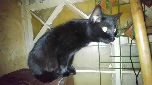 Мери. 30 минут в одной позе. смотреть онлайн