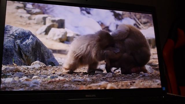 Philips 275P - monitor o rozdzielczości 5K - test, recenzja, opinia i test gier w 5K - VBT PC смотреть онлайн