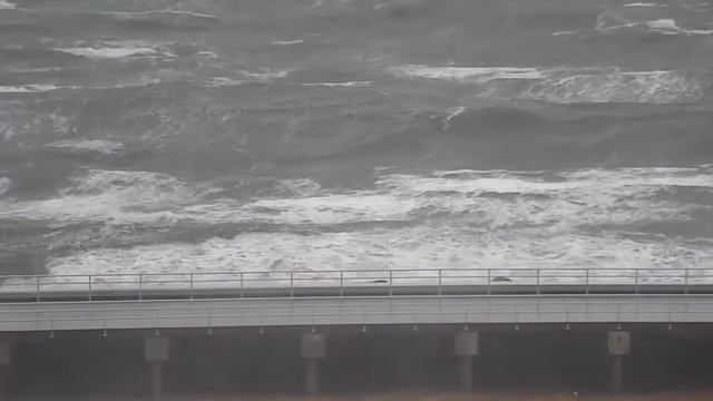 СТИХОТВОРЕНИЕ "О ЧЁМ ГОВОРИТ ПРИРОДА" смотреть онлайн