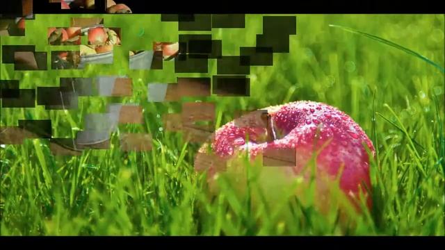 С юбилеем, Андрей! смотреть онлайн