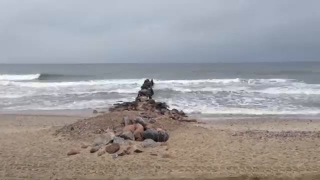 Балтийское море/Baltic sea смотреть онлайн