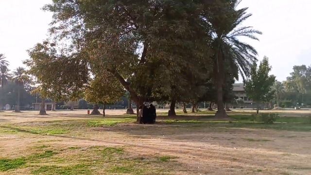 Baghdad UniversityMechatronics, first stage смотреть онлайн