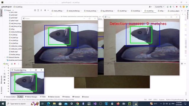 Opencv : Template Match | Real Time | Filtering | Within Region смотреть онлайн