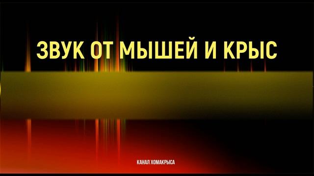 Ультразвук от мышей и крыс Супермощный отпугиватель грызунов Как избавиться от мышей навсегда?!! смотреть онлайн