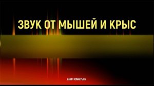 Ультразвук от мышей и крыс Супермощный отпугиватель грызунов  Как избавиться от мышей навсегда?!!