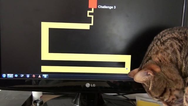 C&S PRANK GAMES: MAZE GAME CAT PRANK смотреть онлайн