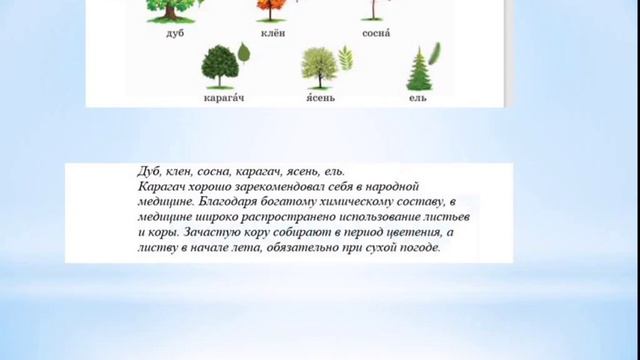 Русский язык 2-класс 54-урок смотреть онлайн