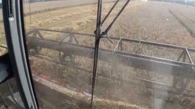 RSM 161 в работе. Набор бункера