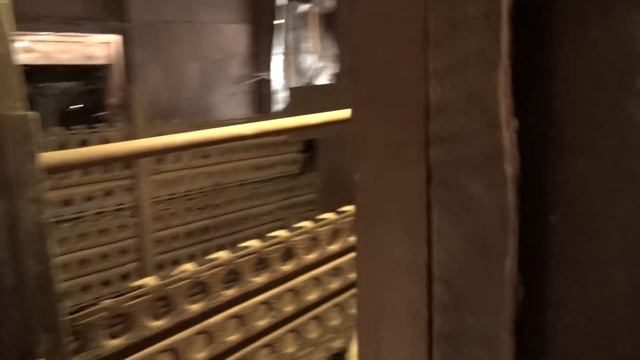 Я решился завести - Венгерскую мангалицу смотреть онлайн