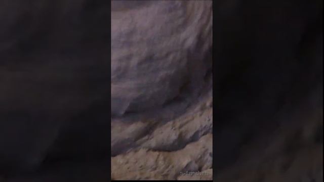 Почему гипсовая штукатурка быстро застывает твердеет схватывается в ведре смотреть онлайн