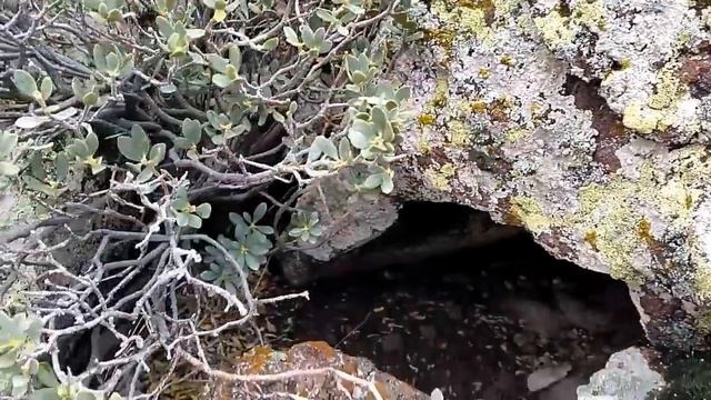 DEFİNE İŞARETLERİ KAPLUMBAĞA AÇILMIŞ KAYA KASASINDA DEFİNE UNUTMUŞLAR treasure rock vault смотреть онлайн