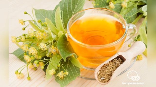 Липа - лекарь смотреть онлайн