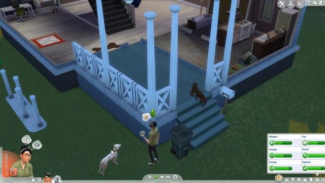 The Sims 4 | 100 Pets Challenge // Too Many Dogs [04] | Mousie смотреть онлайн
