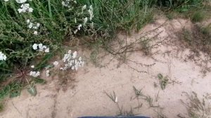 Делаем трюки на электросамокат вторая часть