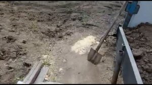 Посадка картошки по линейки для окучивания мотоблоком. @Pavel_SIBERIA