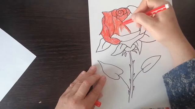 Рисуем розу смотреть онлайн