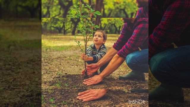 Экология для детей