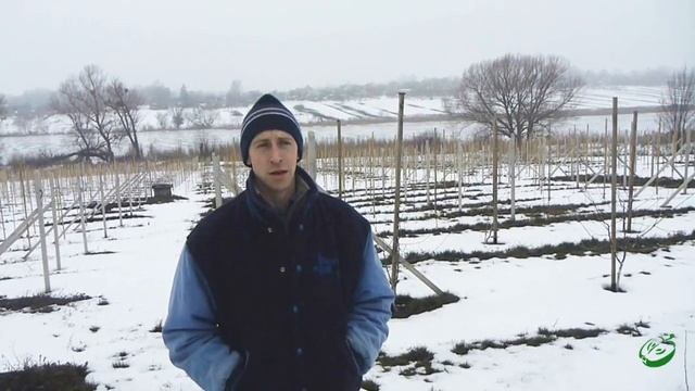 Интенсивный Сад. Вступительное слово смотреть онлайн