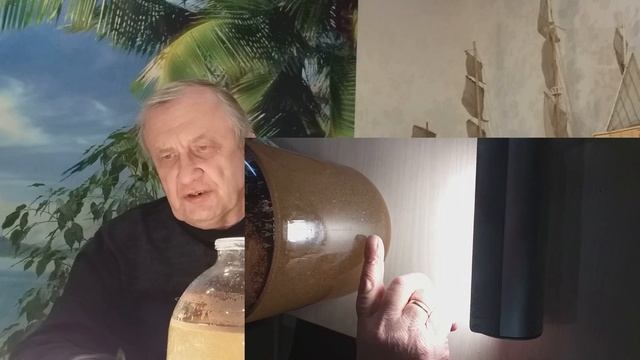 #5 Артемия - живой корм для мальков. Как вырастить? Аквариумистика с Геннадием Посейдонычем смотреть онлайн