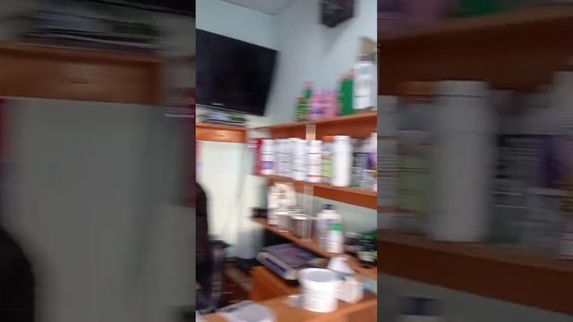 5 января 2023 г. смотреть онлайн