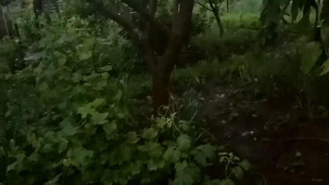 Грозовое утро в Подольске смотреть онлайн