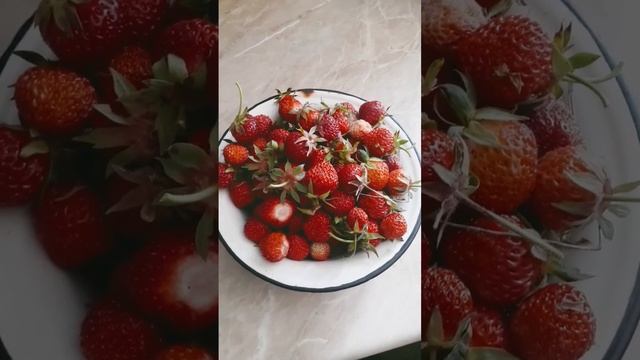 Первый урожай клубники смотреть онлайн