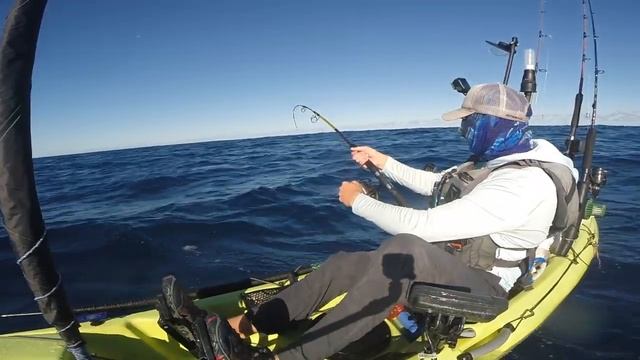 BIG bait, BIG fish | Catch clean and cook | Penn fierce 2 live liner смотреть онлайн