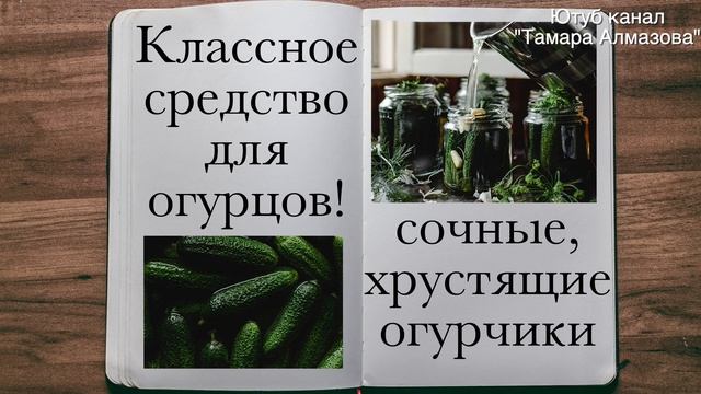 ВСЕГО ОДНА ЛОЖКА, а какой результат! Подкормка огурцов дрожжами смотреть онлайн