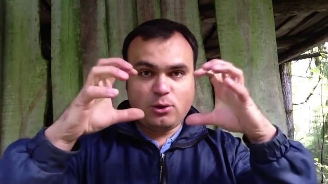 Утеплять дерево пенолистиролом или пенопластом нельзя Все по уму смотреть онлайн