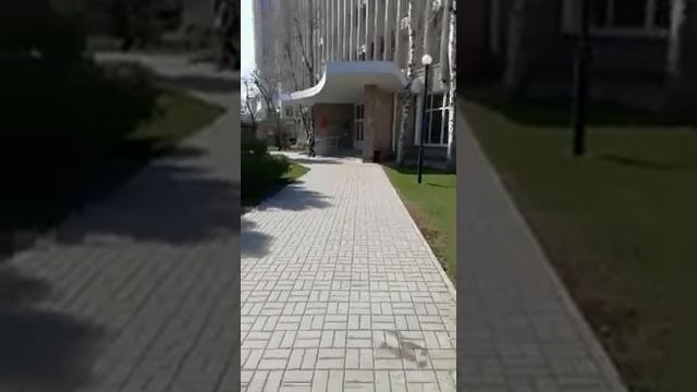 Заявление на лай собак в администрацию. Доп. информация в описании к видео.