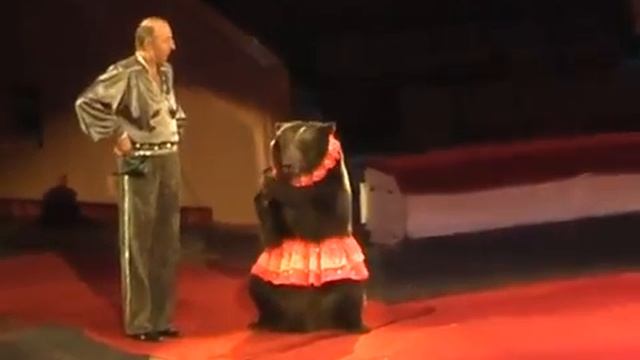 Медведь на праздник по Украине. смотреть онлайн