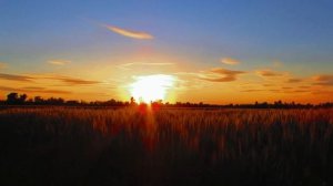 Утренняя медитация благодарности | Как наполниться теплом и любовью за 5 минут