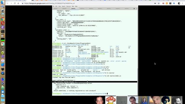 SES-mtg: How to use the SES shim смотреть онлайн