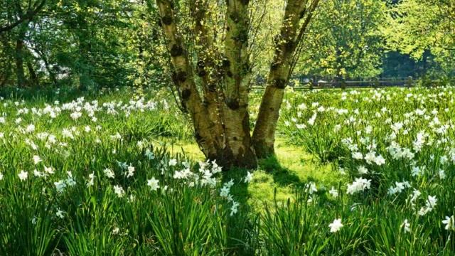 Единство сознания и тела, как сонастроить свое тело с новыми вибрациями Земли.