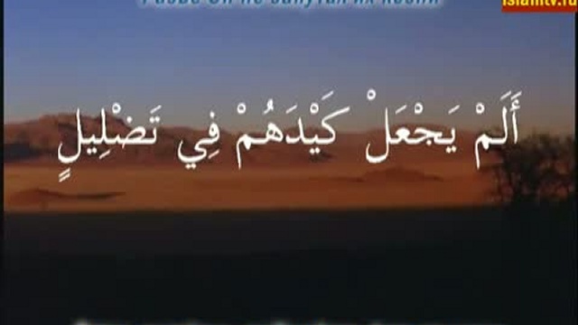 Сура "Филь" с транскрипцией, арабским текстом и переводом смотреть онлайн