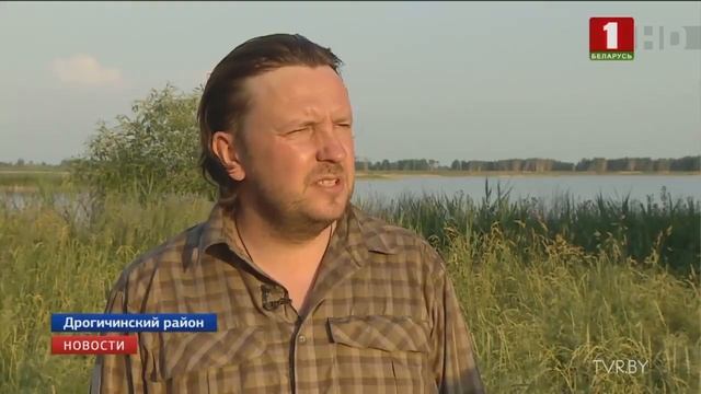 Редкую птицу - вертлявую комышовку - спасают белорусские ученые совместно с литовскими коллегами смотреть онлайн