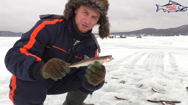 На рыбалку за Зубарём! Лихорадка! смотреть онлайн