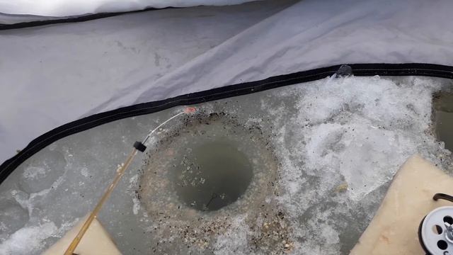 Рыбалка в Смолино вчера смотреть онлайн