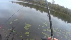 ЛОВЛЯ ПИКЕРОМ В ХОЛОДНОЙ ВОДЕ.ПИКЕР DAIWA WINDCAST