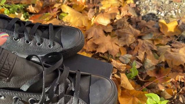 Converse 135263C полностью черные низкие кожа
