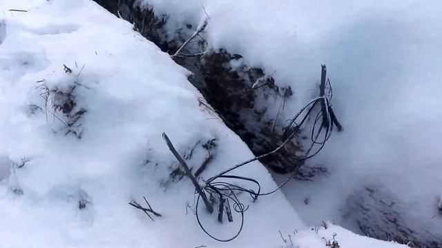 Avant 220 копаем в Декабре! смотреть онлайн