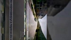 Ремонт телевизора Philips 42PFL6097T/60.