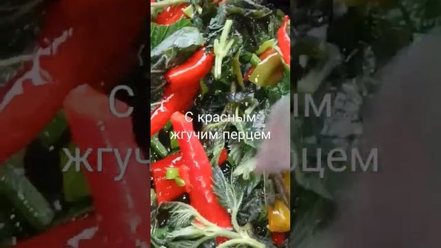 Блюдо Дня - Жареная КРАПИВА! Пробовали? смотреть онлайн