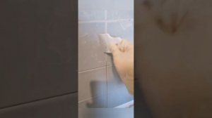 Как изменить цвет затирки. Затирка в тон плитки